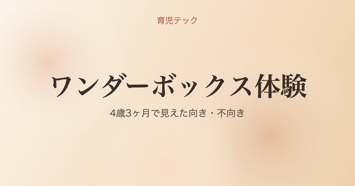 ワンダーボックス体験 - 育児テック